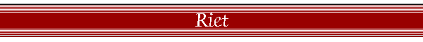 Riet